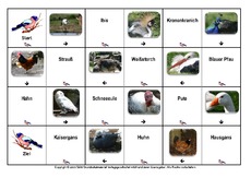 Domino-Vögel-3.pdf